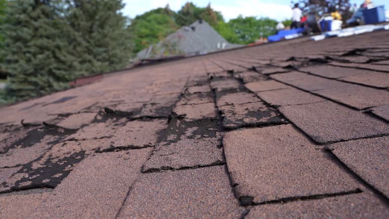 Best Rubber Roofing (EPDM, TPO)  in Port St John, FL