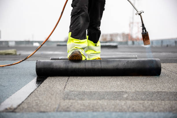 Best Asphalt Shingles Roofing  in Port St John, FL
